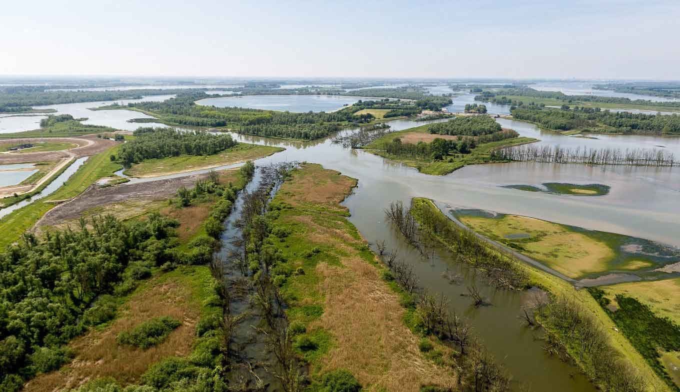 Biesbosch bovenaf
