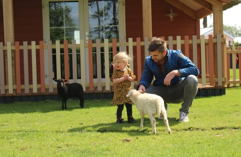 Vakantiepark Molenwaard bestaat één jaar en viert dit met de opening van een nieuw accommodatie type