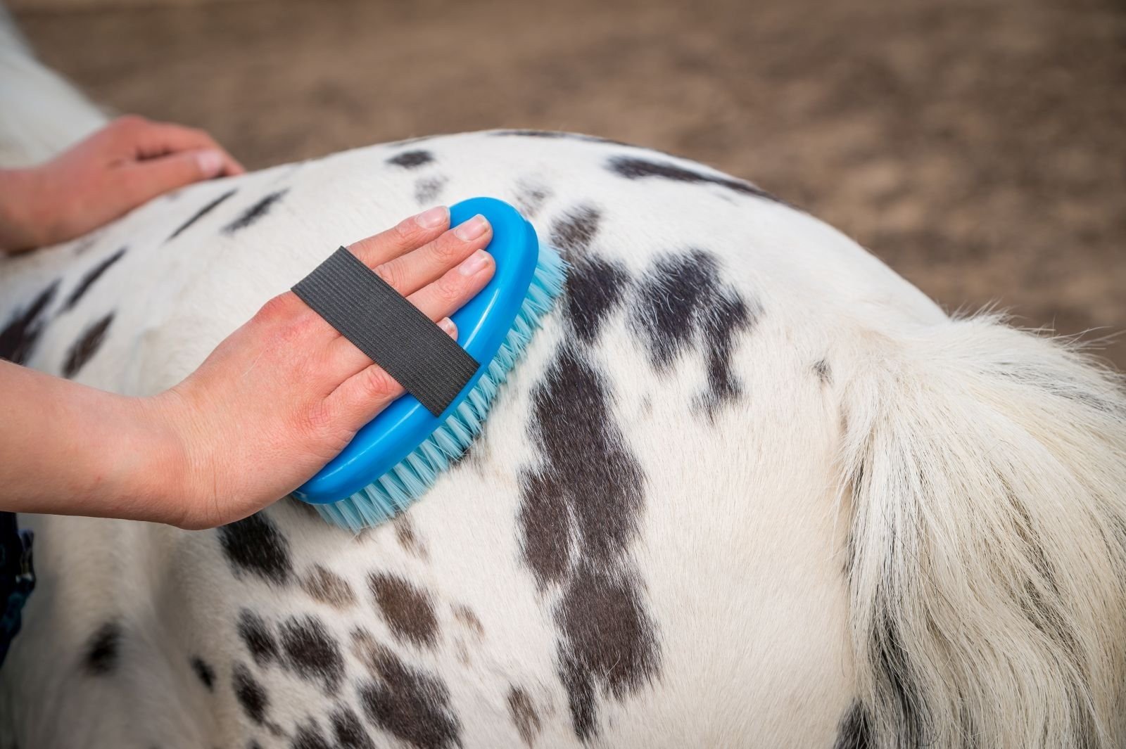 Ontmoet Stip de Pony bij de nieuwe Stip de Pony Ranch!