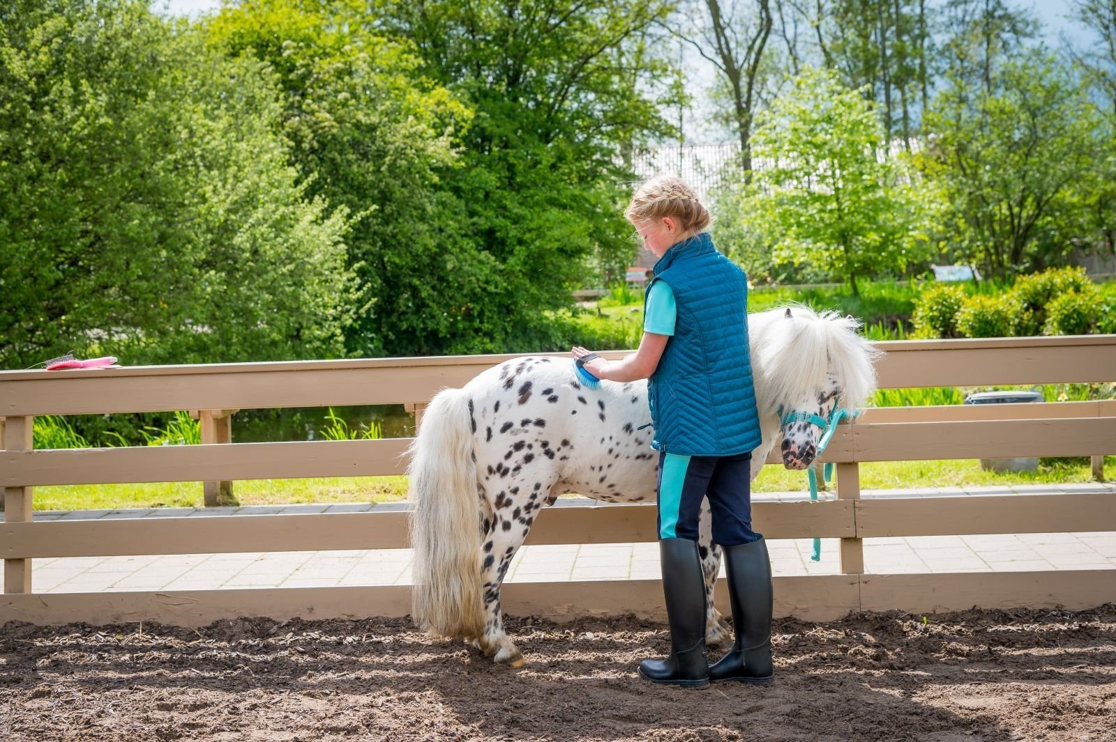 Stip de Pony Ranch