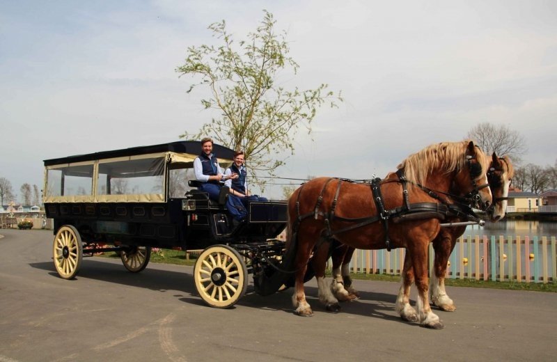 Vakantiepark Molenwaard neemt deel van activiteiten Stal Vonk over