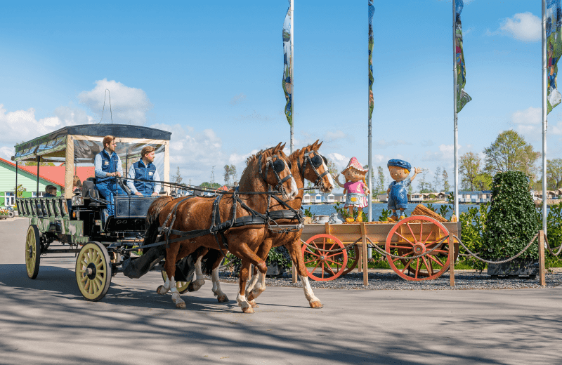 Paardentram familie resort molenwaard