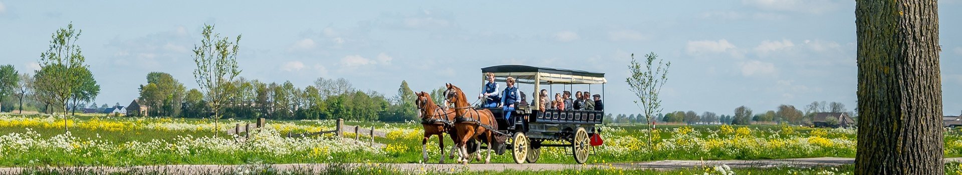 Excursies & verhuur