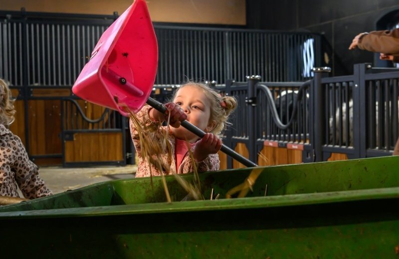 Helpen in de ponystal