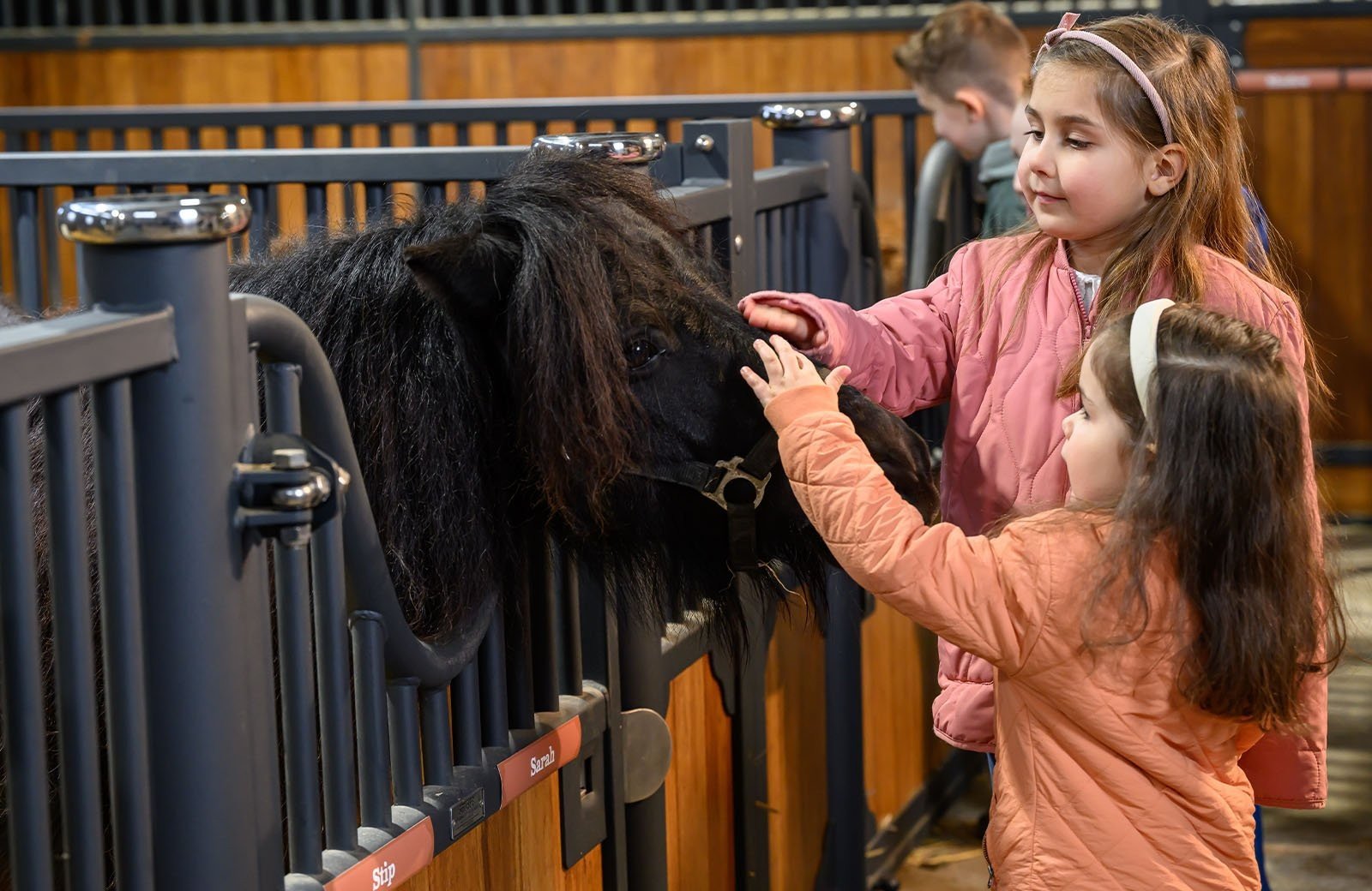 Excursie voor de hele groep