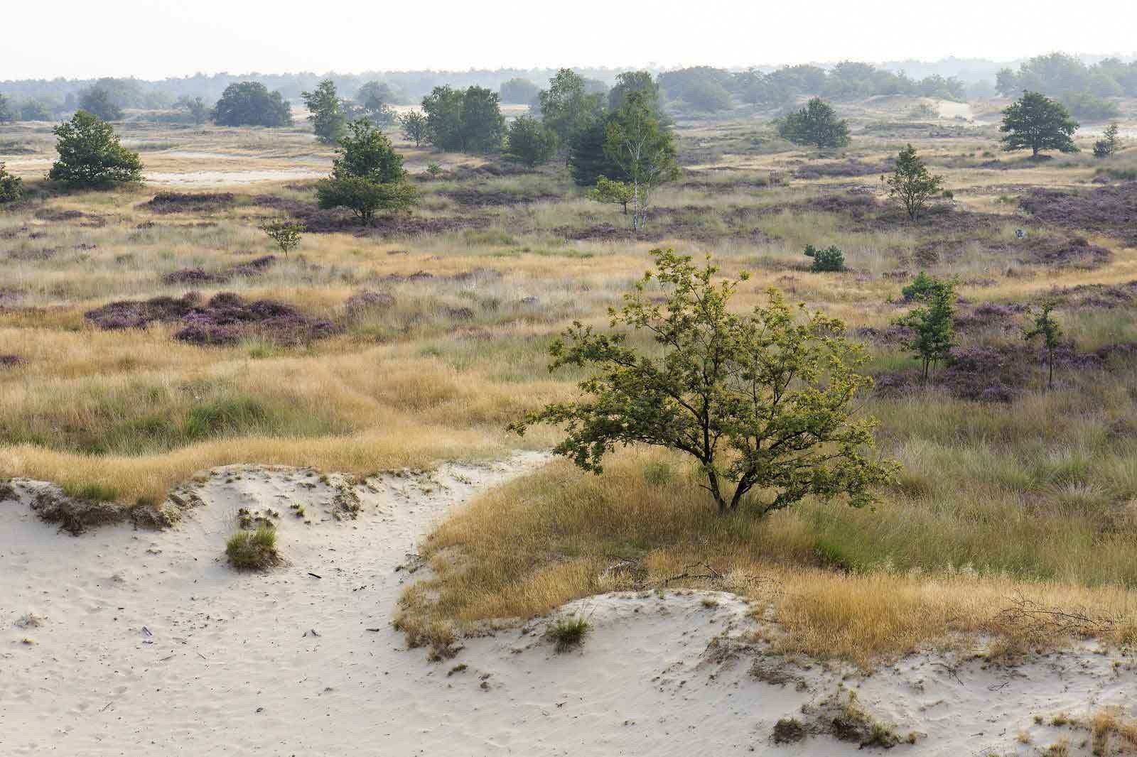 Natuur